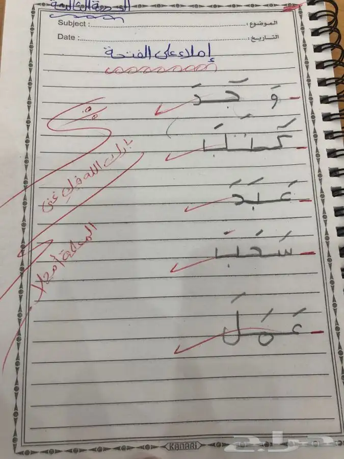 معلمة تأسيس مصرية 5