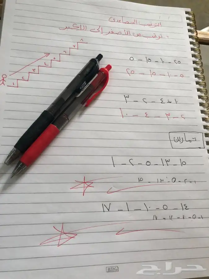معلمة تأسيس مصرية 0
