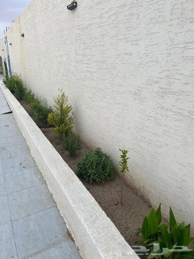 استراحه كبيره العرفاء 1