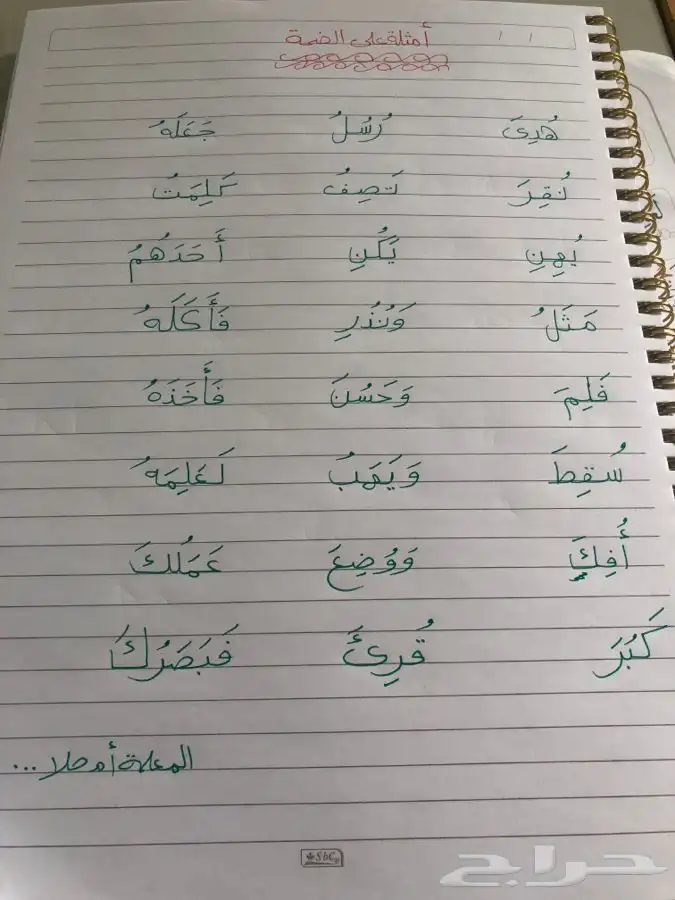 معلمة تأسيس مصرية 1