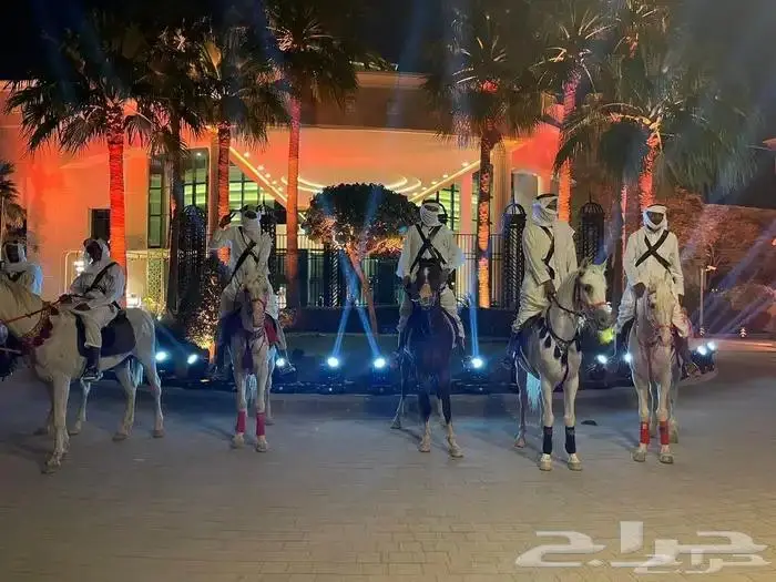 ايجار خيول وجمال رحول 7