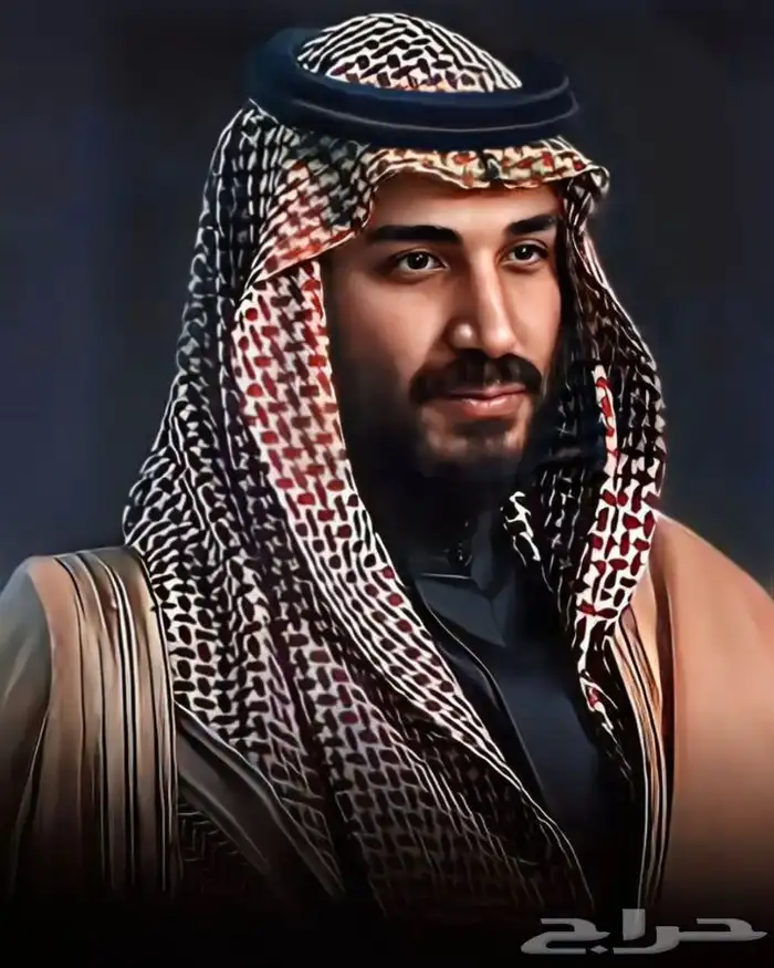 رسام صور بارخص الأسعار 2