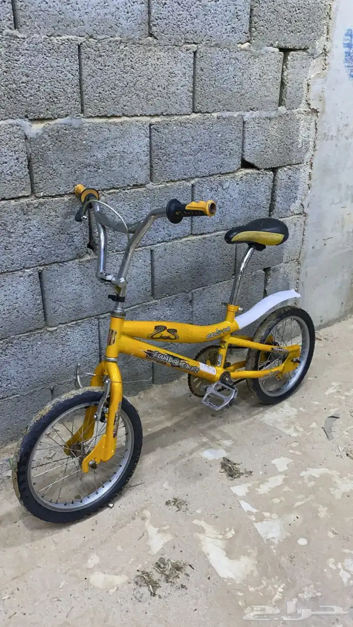 سيكل 1