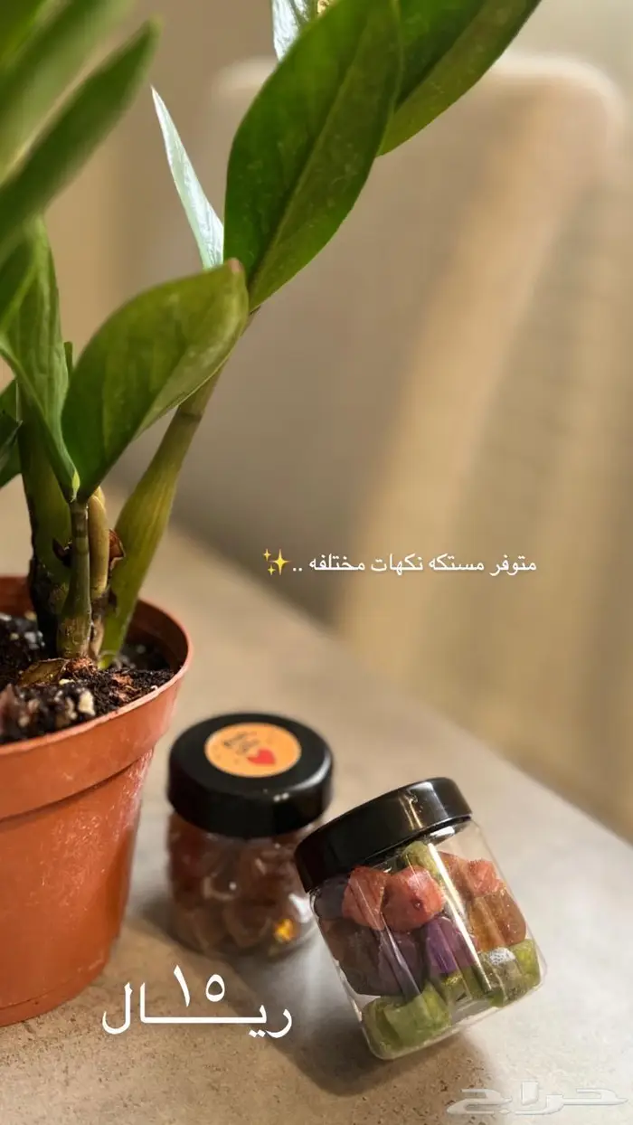 مستكى مسقى بنكهات مختلفه متوفر تسليم فوري بتبوك 0