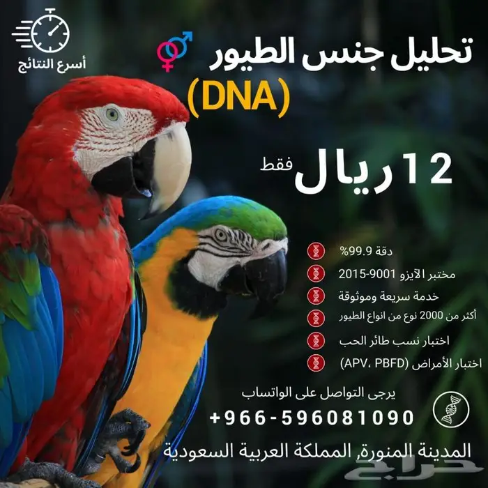 تحديد جنس الطيور بالحمض النووي خلال اسبوعين 2