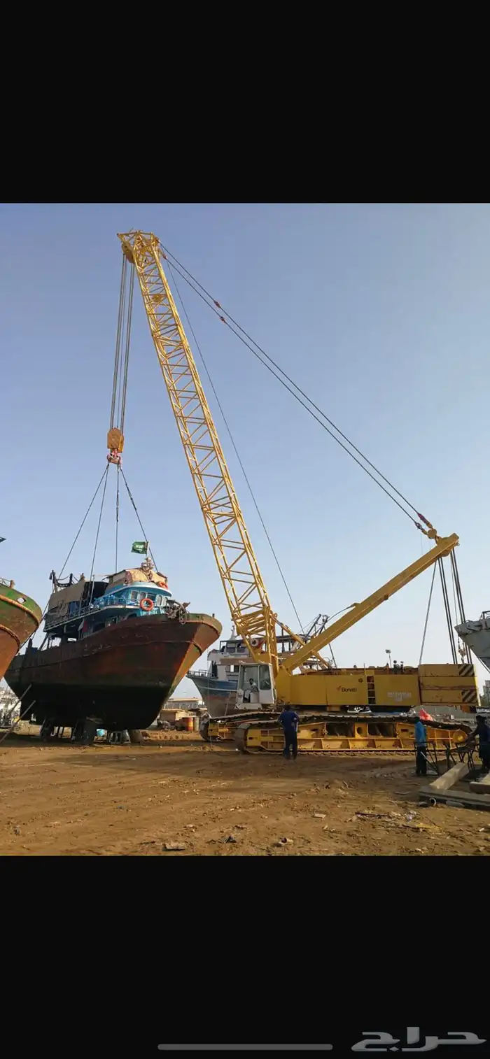 كرين جنزير للايجار 2