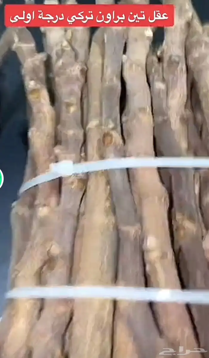 للبيع عقل تين ورمان و عنب 0