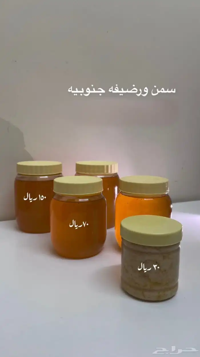 سمن ورضيفه جنوبيه 0