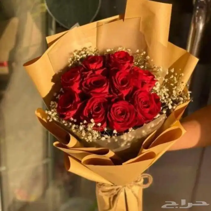 مندوب تنسيق هدايا 16