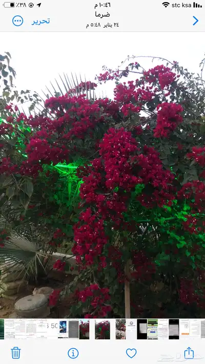 استراحة ايفاء للايجار شرق المزاحمية يومي شهري 22