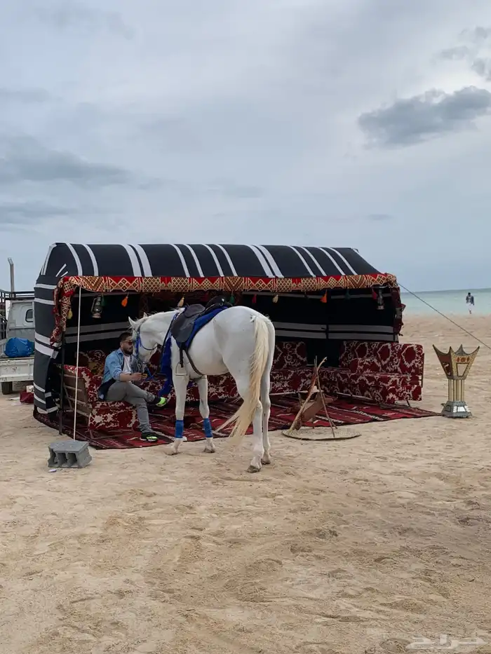 خيمة وديكور العيد الوطني 24