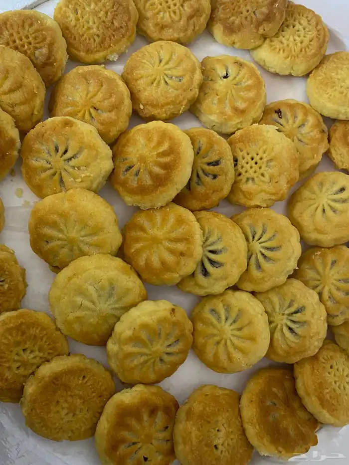 اسعارنا في متناول الجميع 22