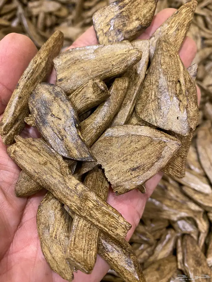 مجموعة من عود البخور لجميع المناسبات 1