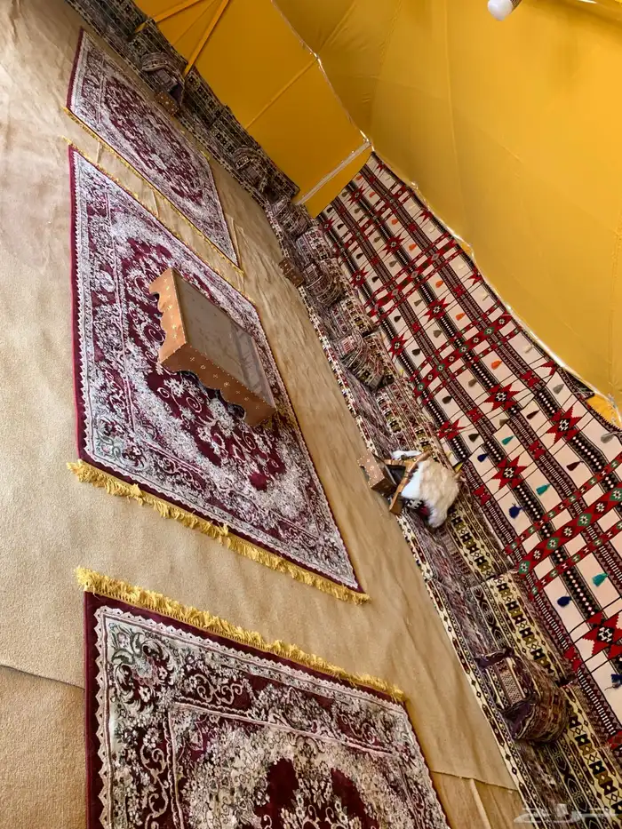 تجهيز مخيمات بيوت شعر 31