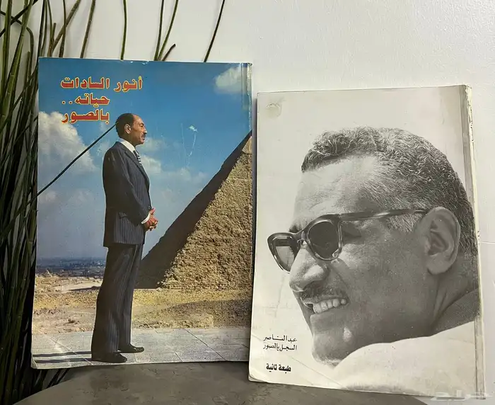 حياة الرئيسين جمال عبدالناصر وأنور السادات بالصور 0