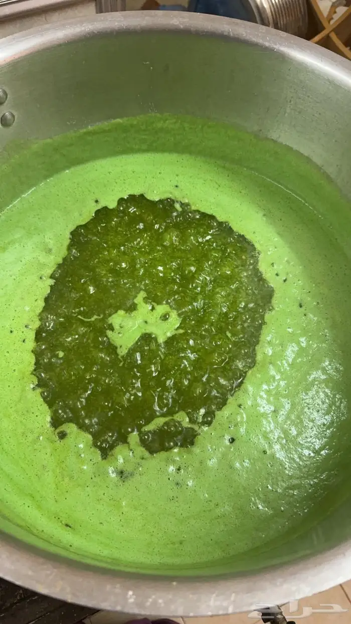 سمن غنم ساده ومبزر 4