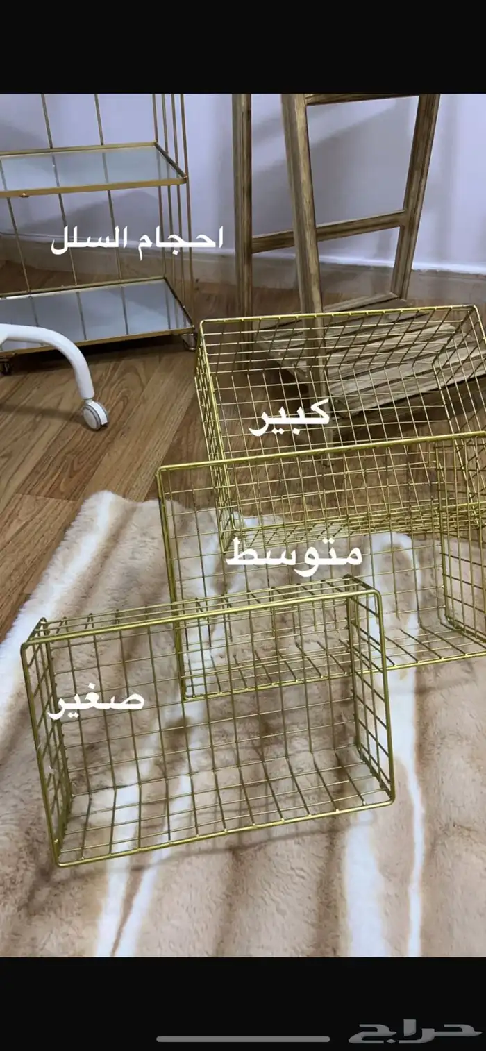 دبش المدينه 3