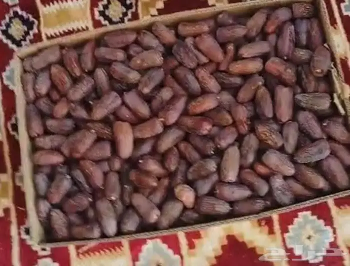 عجوة المدينة المنورة الفاخرة - الكمية محدودة 3