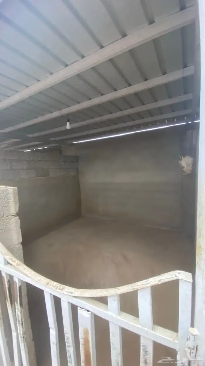 اسطبل مربط خيل للإيجار 4