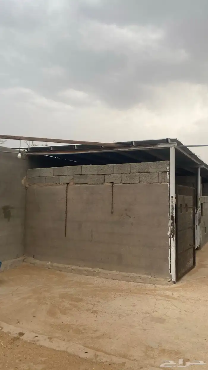 اسطبل مربط خيل للإيجار 7