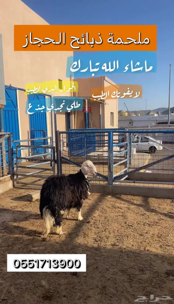 ملحمة ذبائح الحجاز-مخطط البدراني 1
