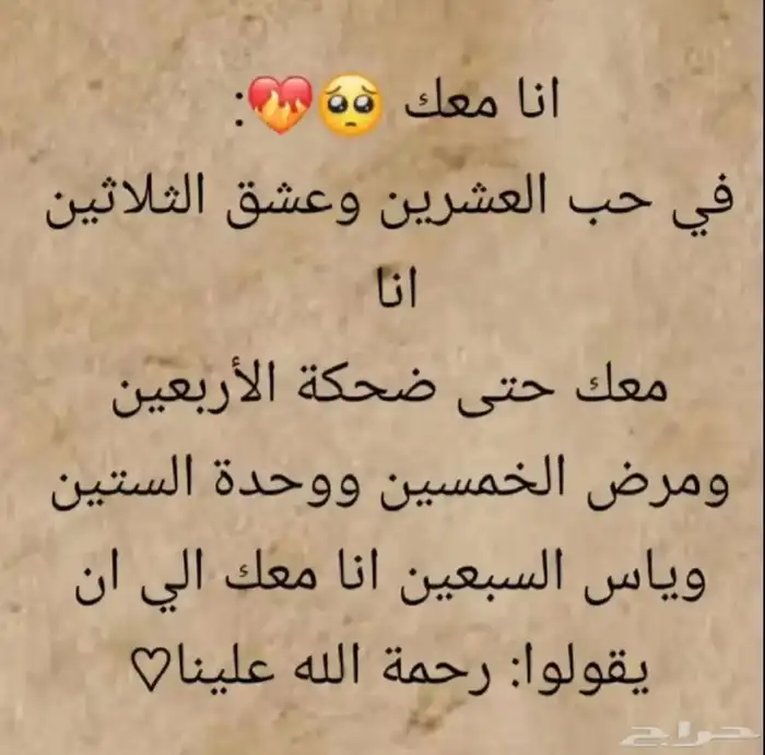 متجر شوزت ماستر درجة أولى طبق الأصل 95
