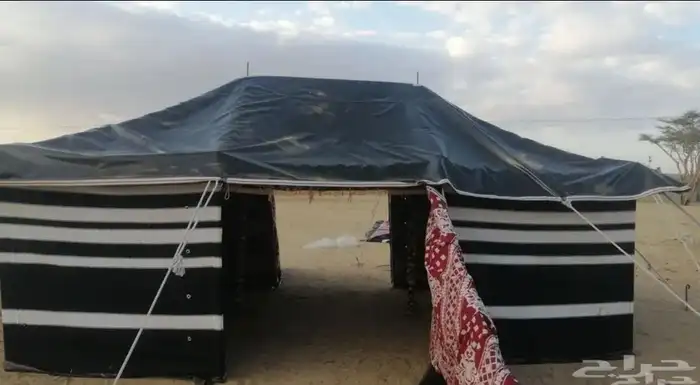 بيوت شعر 15
