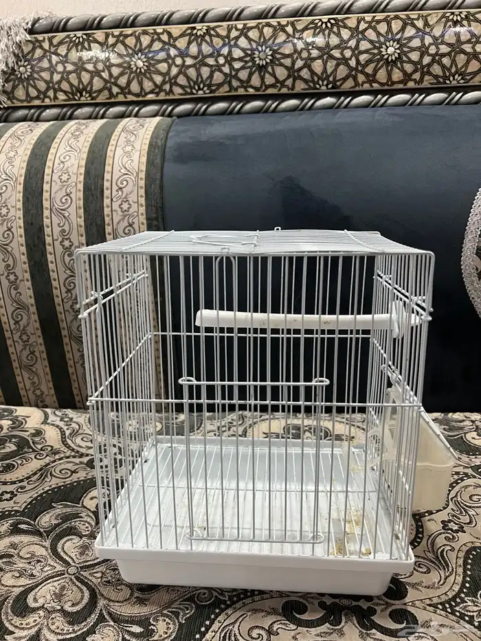 اقفاص عصفير 3