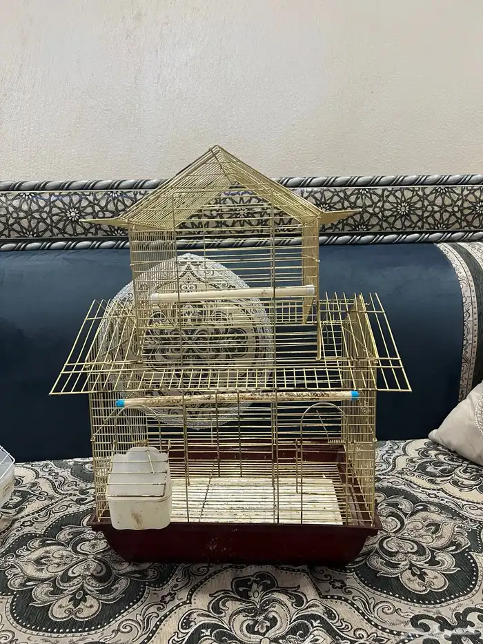 اقفاص عصفير 1