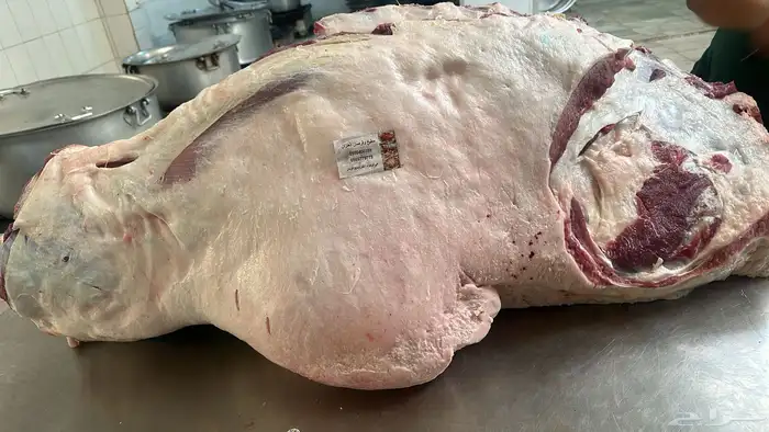 قعدان وذبائح مطبخ ولائم 1