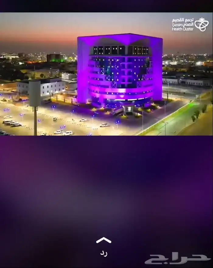 تنظيم حفل ومهرجان اليوم الووطني 10