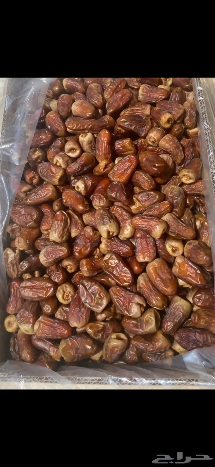 برني العيص فاخر 0