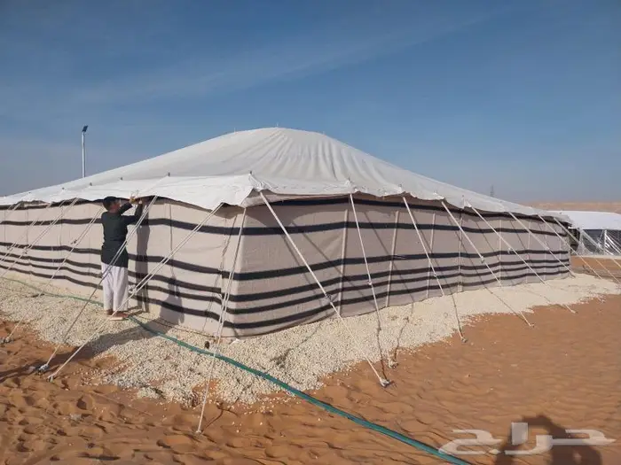 بيوت شعر أبيض جميع المقاسات يوجد فرس مساند 2