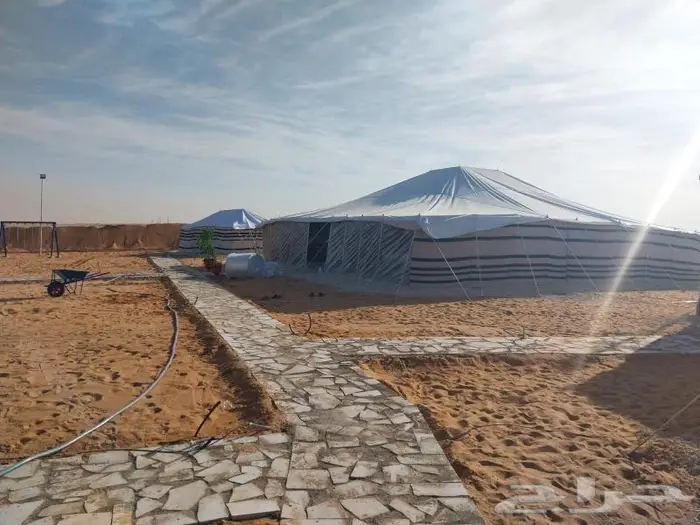 بيوت شعر أبيض جميع المقاسات يوجد فرس مساند 3