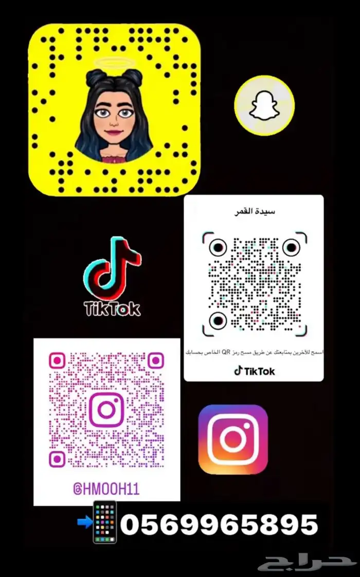 للبيع ببغاء روز الاليف 5