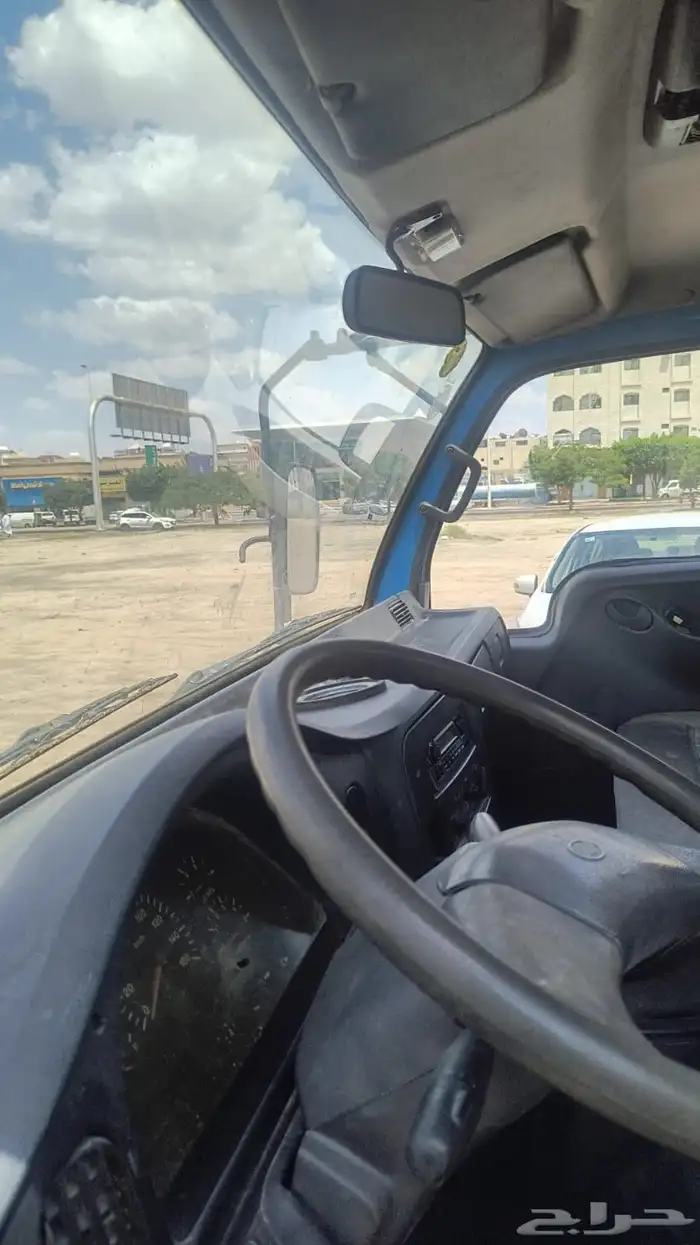 دينا 2013 3