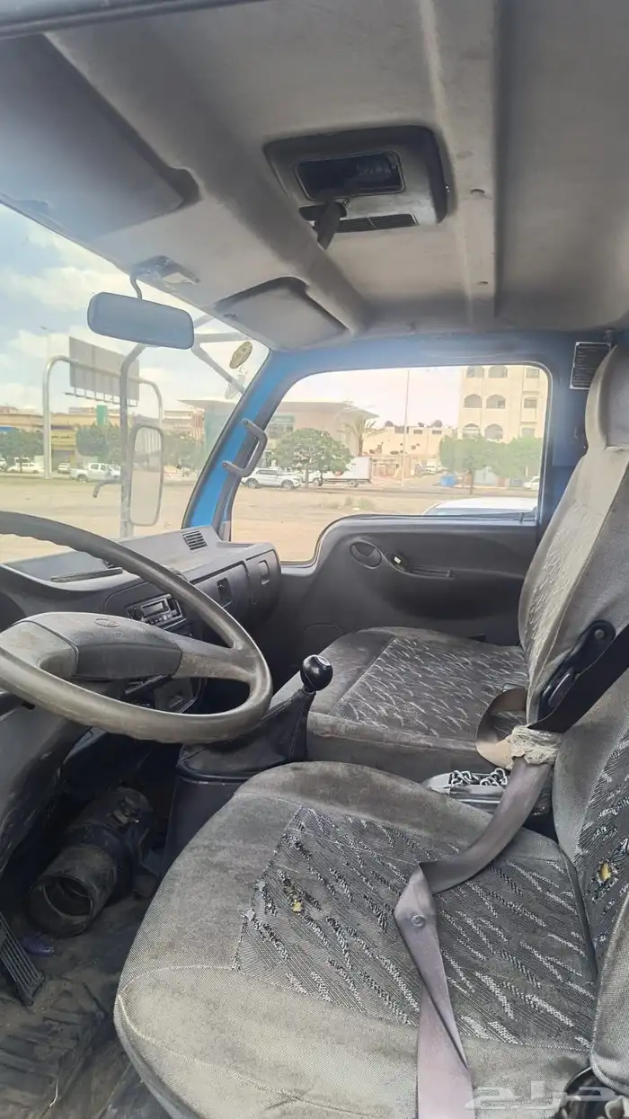 دينا 2013 6