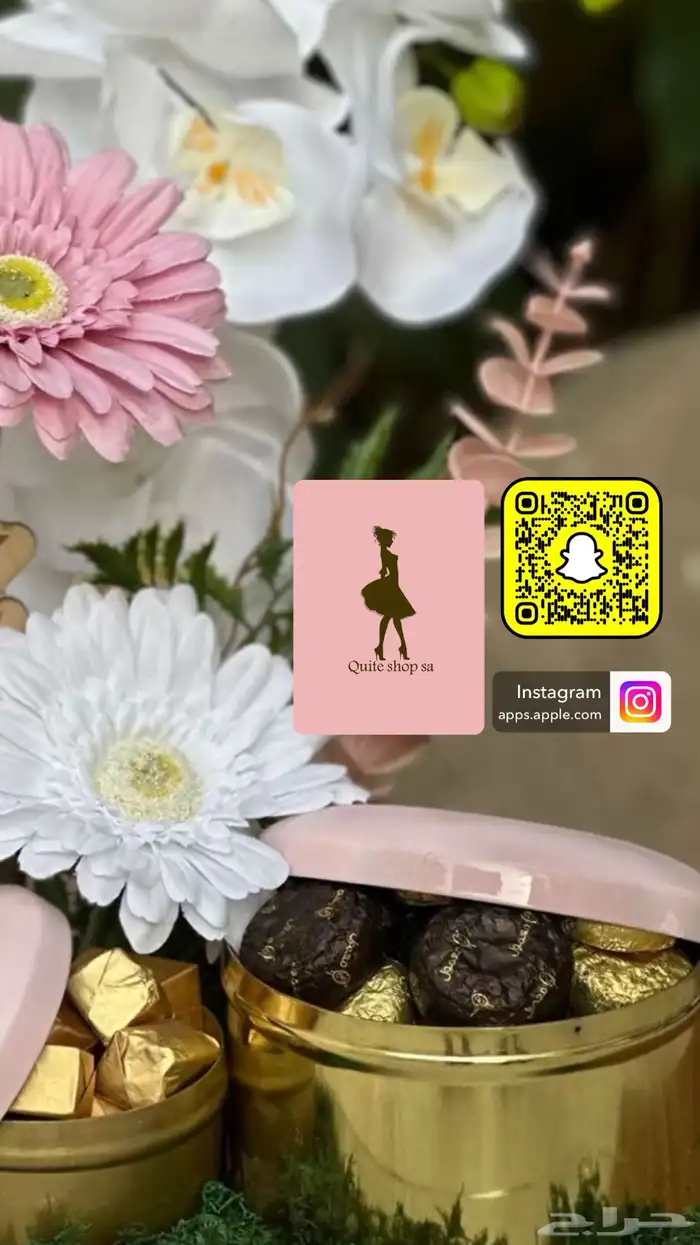 بجايم نسائي ورجالي . لانجري 0