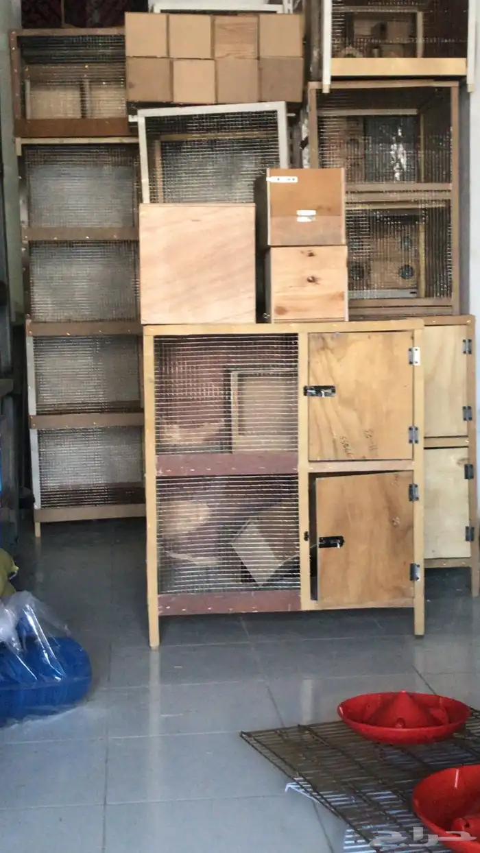 بياضات اقفاص شبك بادجي كناري كروان كوكتيل روز كاسكو 11