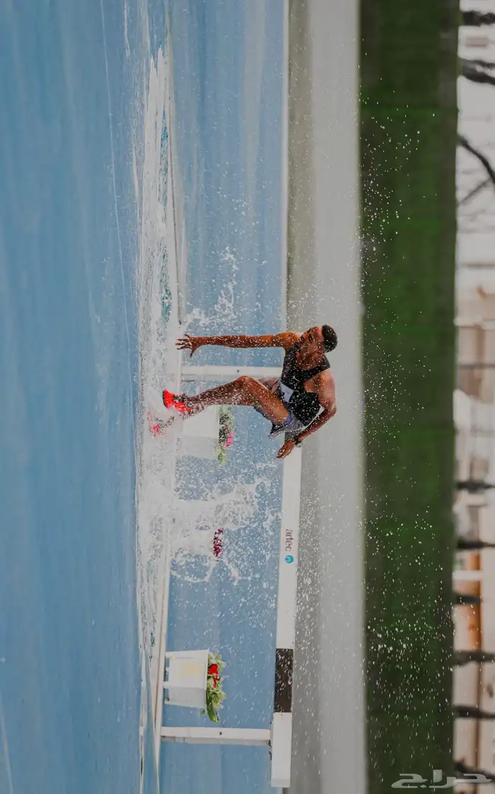 مصور ( مؤتمرات وفعاليات ولقاءات ) 1