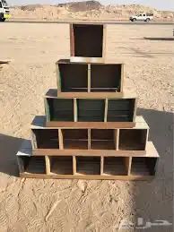 بياضات اقفاص شبك بادجي كناري كروان كوكتيل روز كاسكو 16