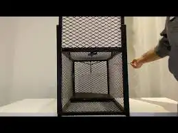 مصيده قطط 2