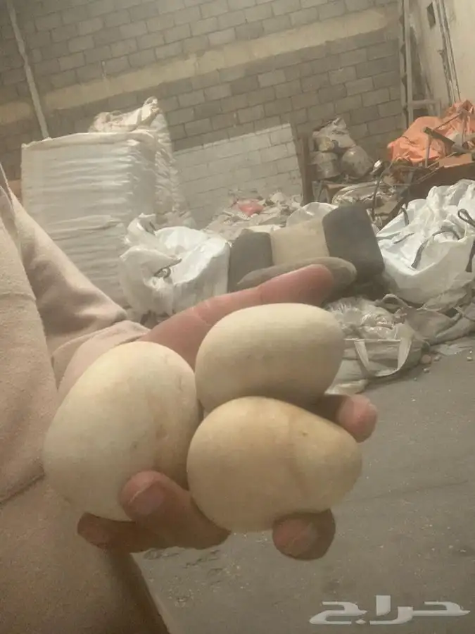 حجر زينه مرور 2