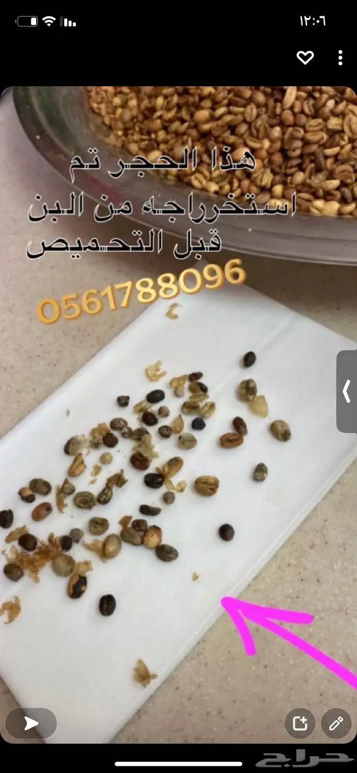 قهوه شماليه 24
