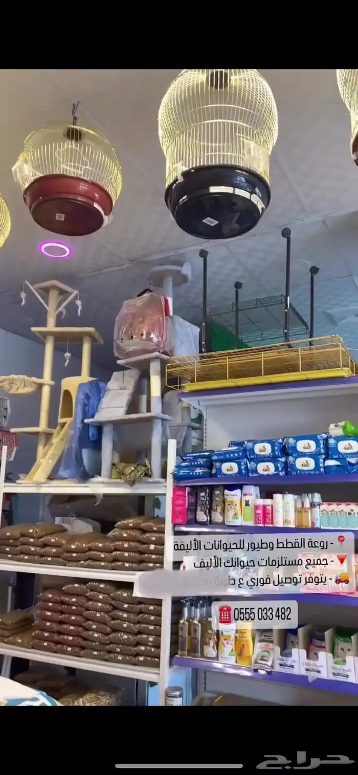 جميع مستلزمات قطط حيوانك الأليف مع توصيل الفوري للمنزل 6