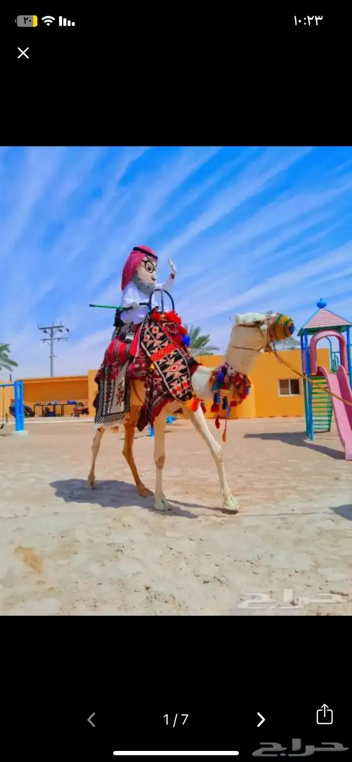 أيجار خيول وجمال 0