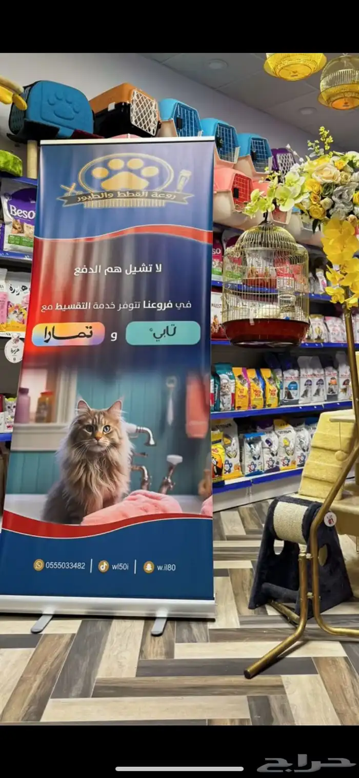 جميع مستلزمات قطط حيوانك الأليف مع توصيل الفوري للمنزل 8