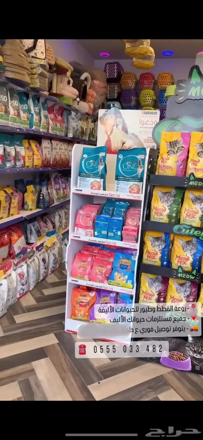 جميع مستلزمات قطط حيوانك الأليف مع توصيل الفوري للمنزل 4