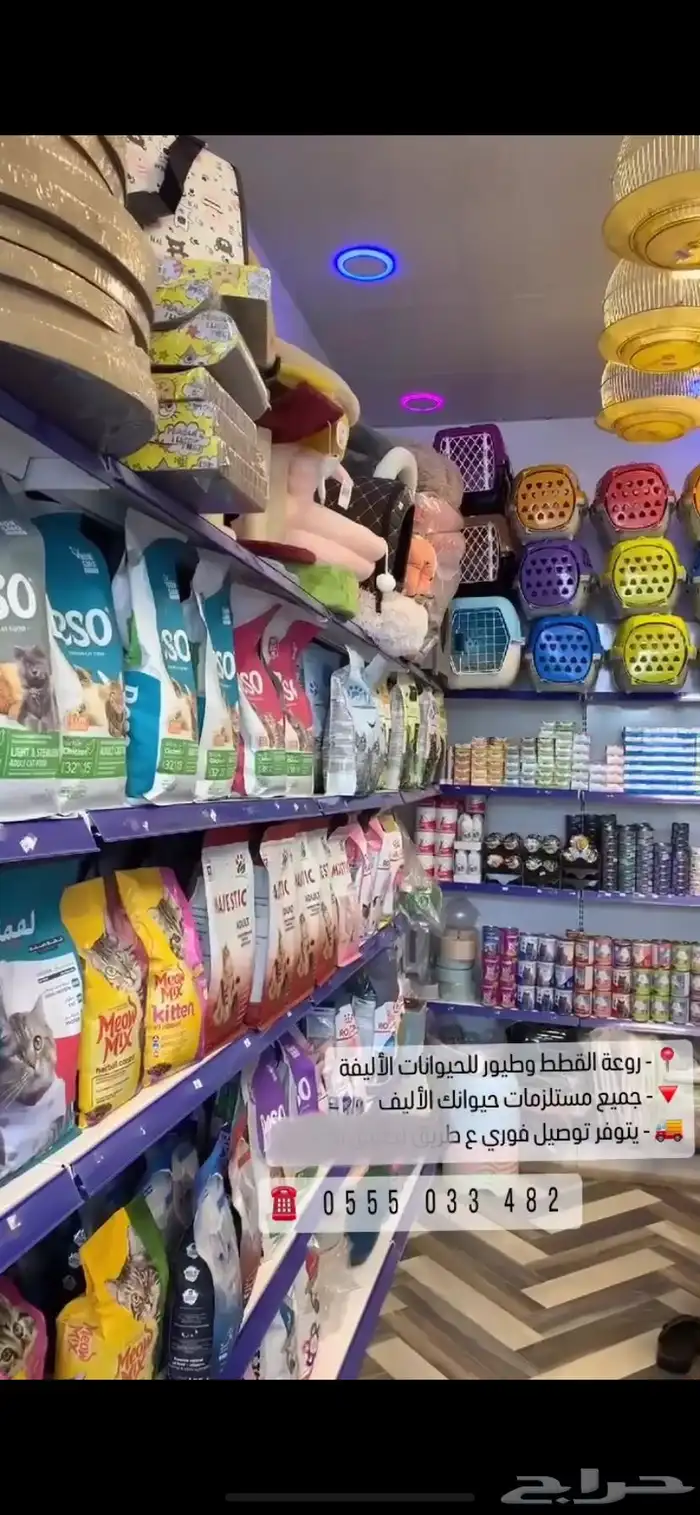 جميع مستلزمات قطط حيوانك الأليف مع توصيل الفوري للمنزل 3