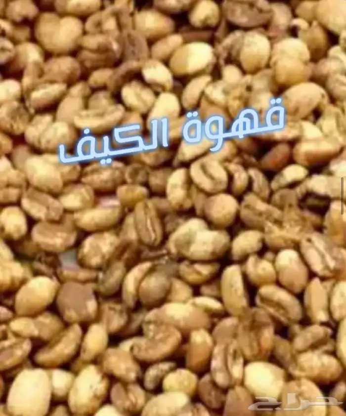 قهوه شماليه 19